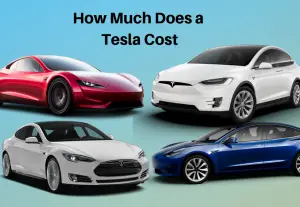 How Much Does a Tesla Cost