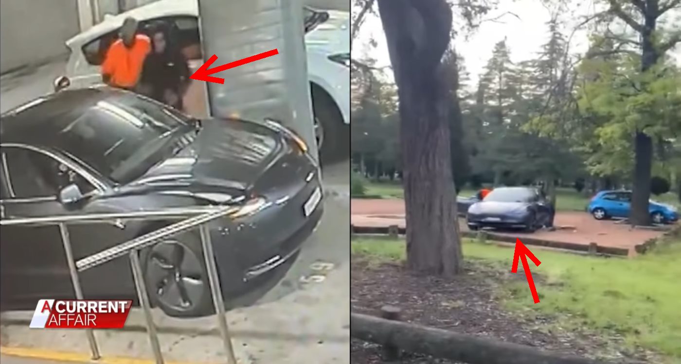 Tesla Owner Outwits Thieves To Save Model 3 From Getting Robbed