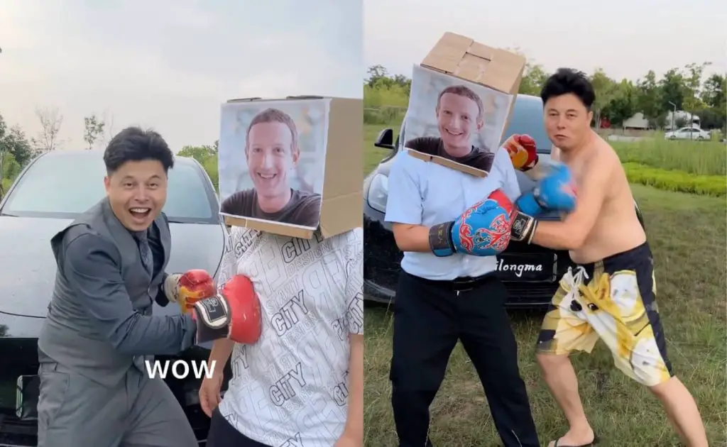 Fake Elon Wins the Fight Against Mark