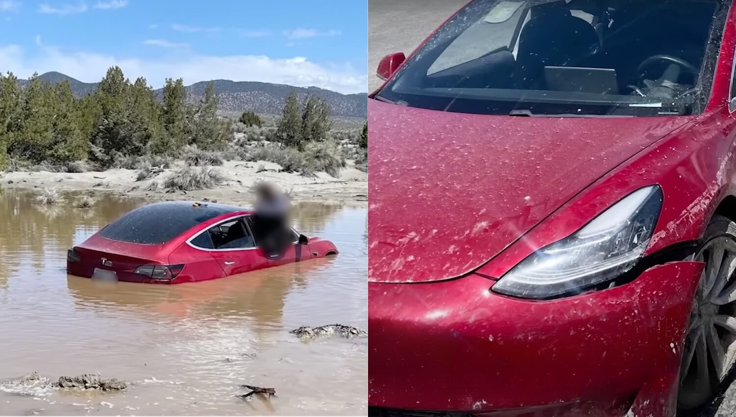Tesla Model 3 into Floodwater