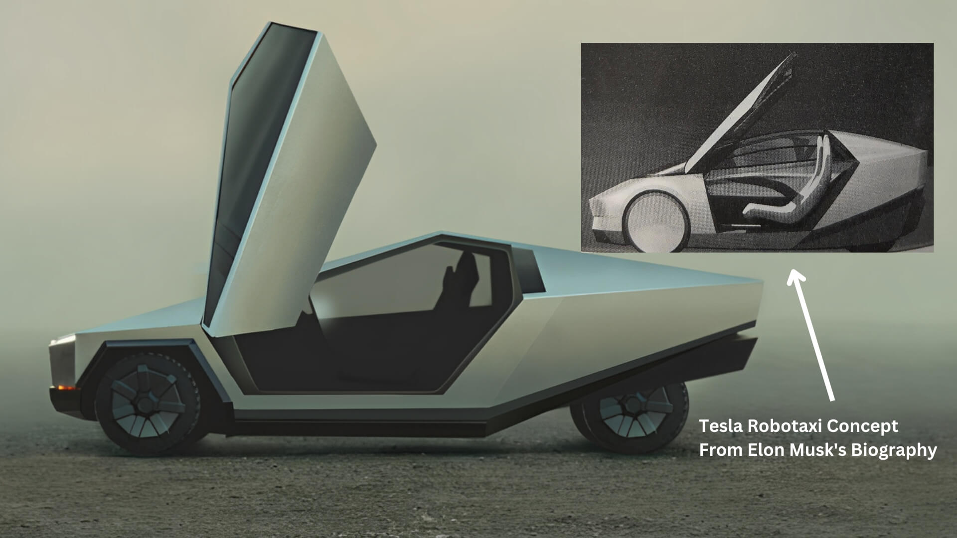 Tesla Robotaxi Concept