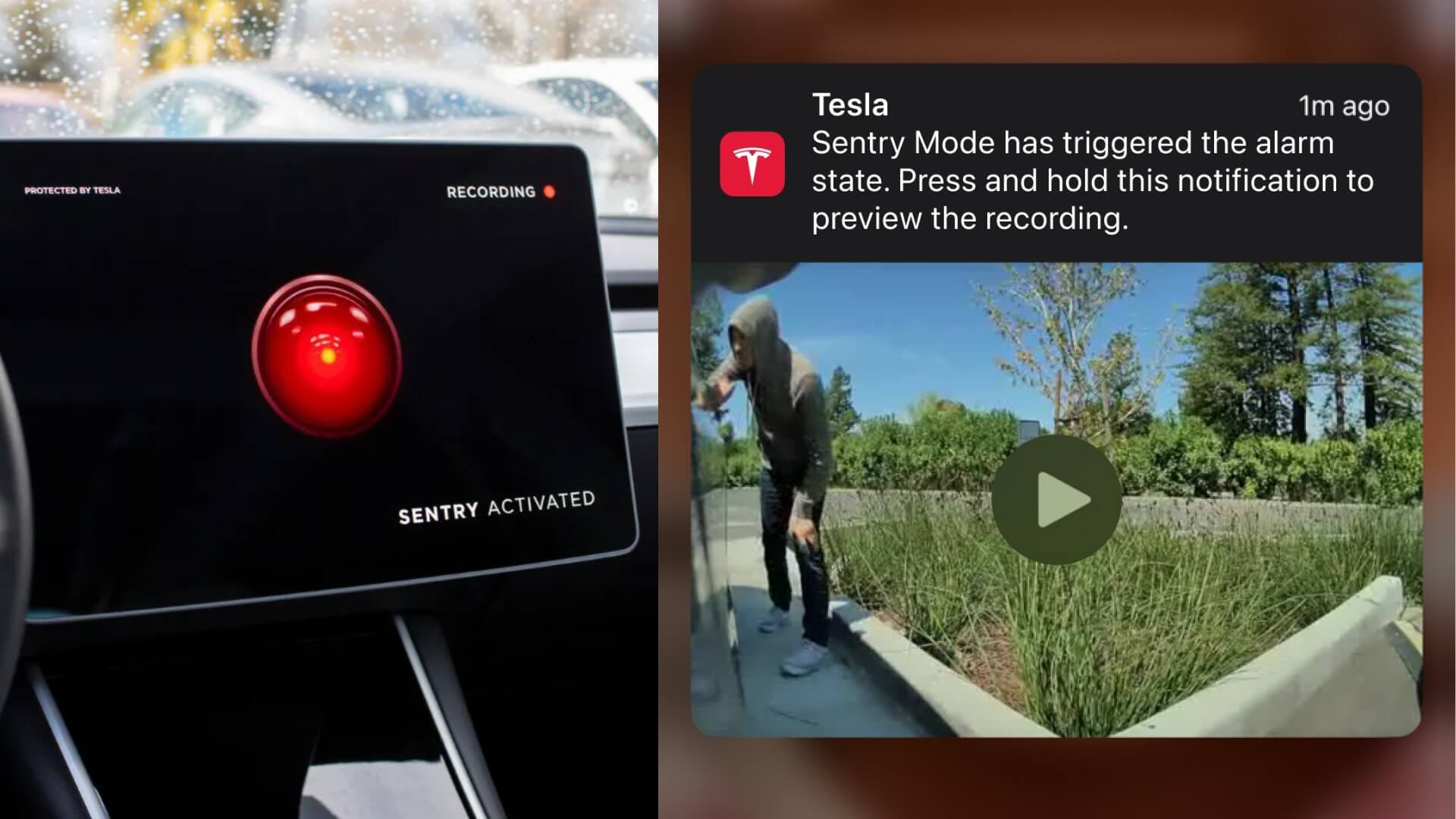 Tesla Sentry Mode Mobile Preview