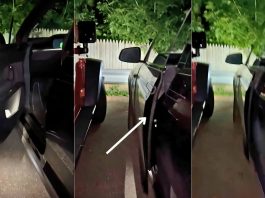 Tesla Model X power front door