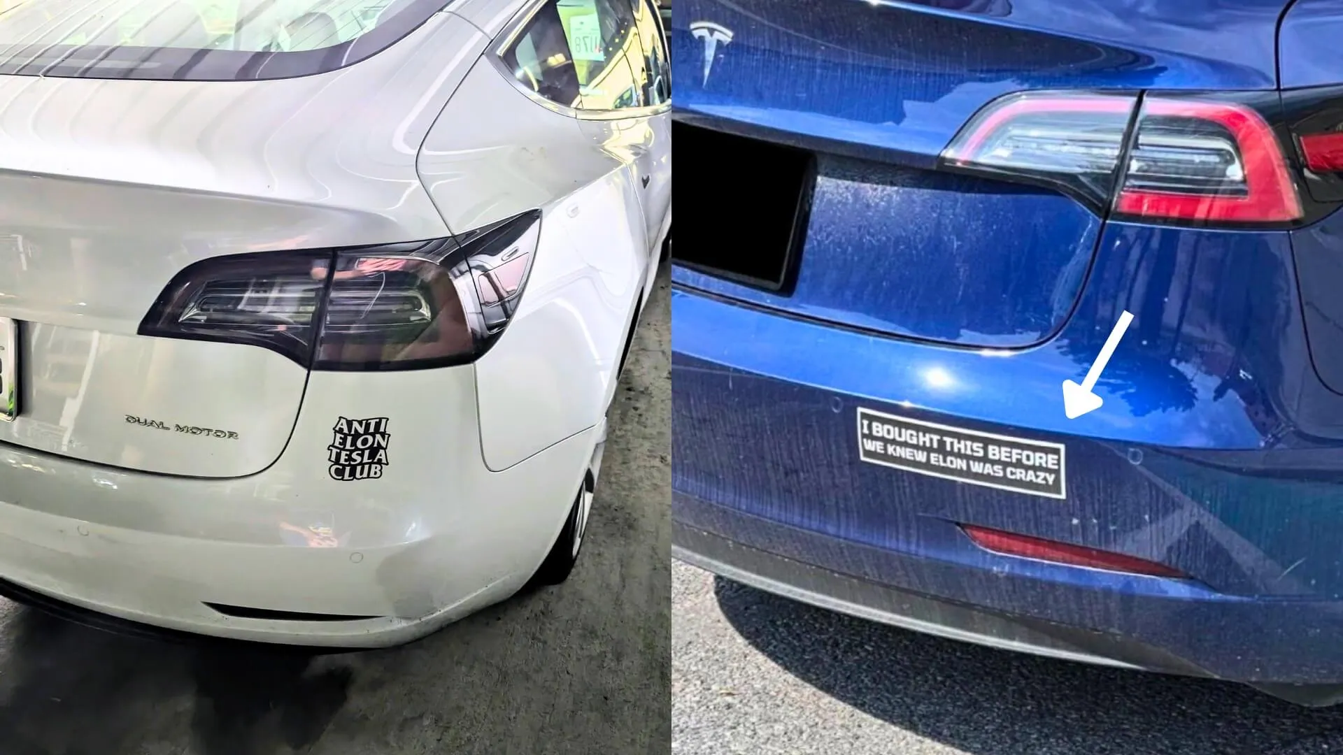 Anti-Musk Tesla Stickers Surge After Elections Though Tesla Sales Continue to Climb