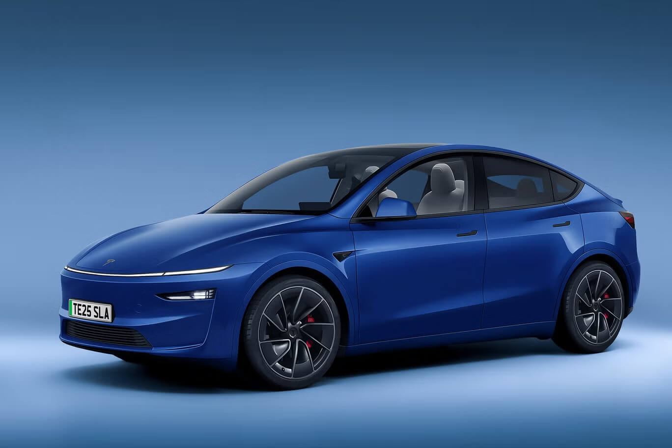 Model Y Juniper Blue