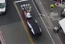 Mysterious Covered Tesla Spotted at Fremont Factory Sparks Speculation