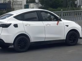 Tesla Model Y Clone