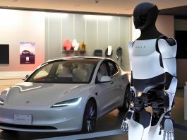Tesla Optimus $20000 Price Tag