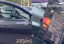 Driverless Tesla Robotaxi Spotted
