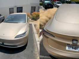 Model 3 Spotted in CyberCab Camouflage