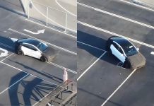 Shorter or Affordable Tesla Model Y