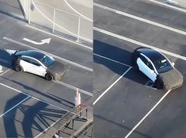 Shorter or Affordable Tesla Model Y