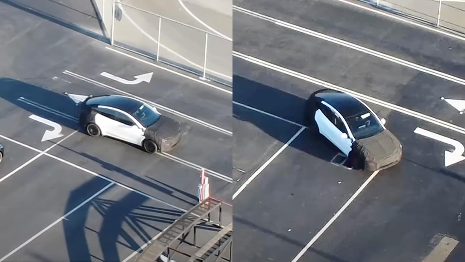 Shorter or Affordable Tesla Model Y