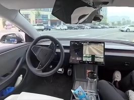 Tesla Robotaxi Experience Successfully Recreated