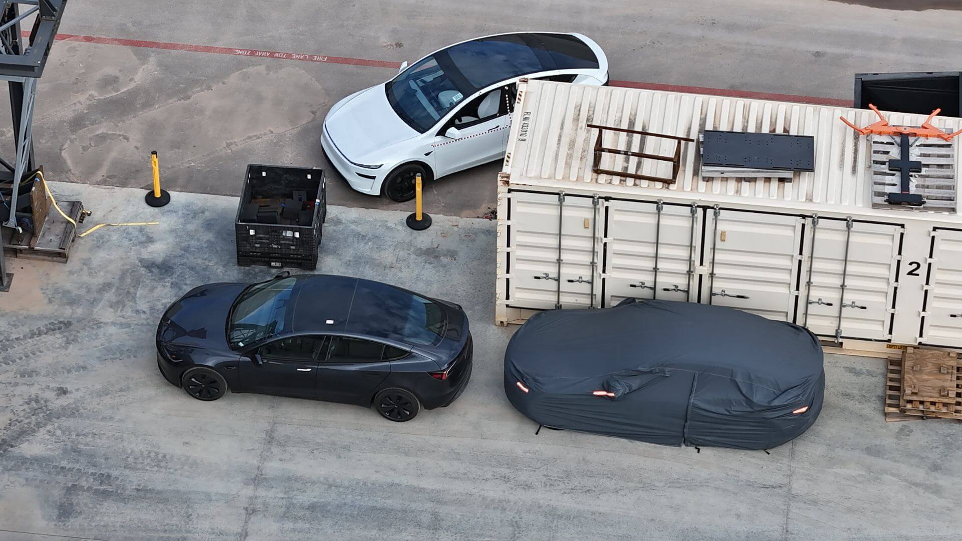 Affordable or Performance Model Y