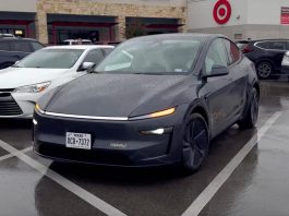 Tesla Robotaxi Wait for Passengers