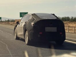 Model Y L Spotted Testing in Xinjiang