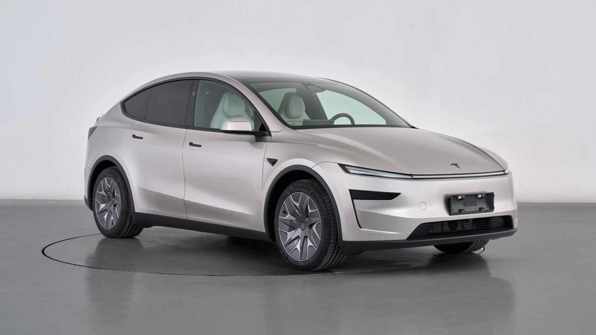 Model Y L