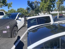 Affordable Tesla Spotted in Bay Area