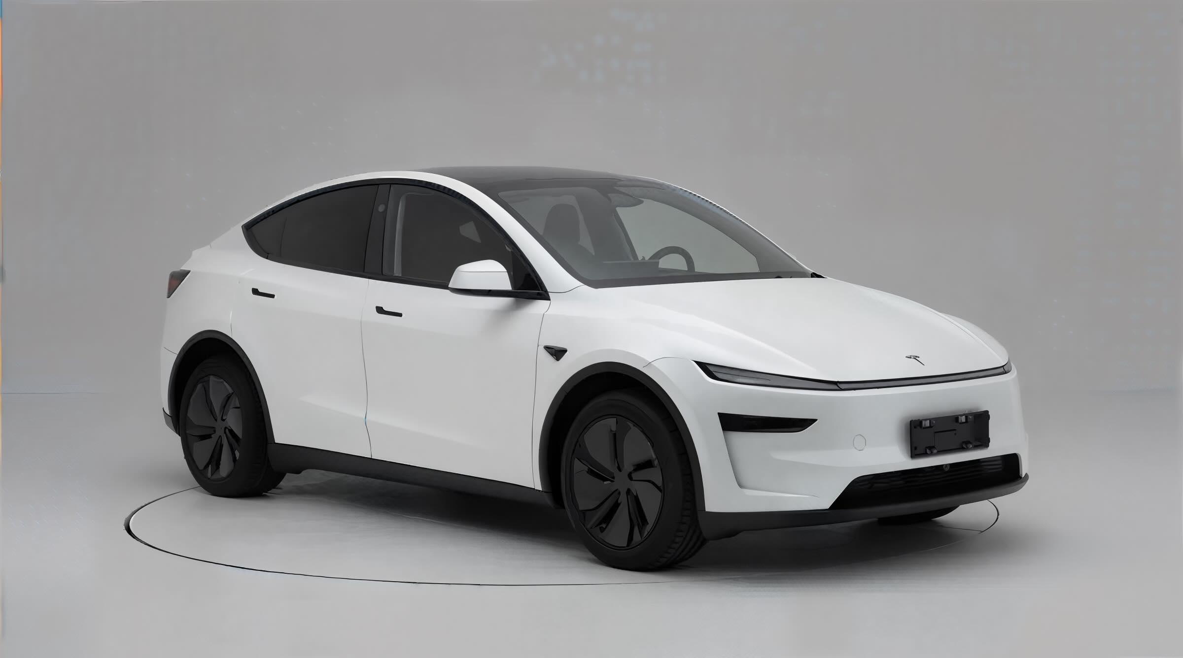 Model Y+