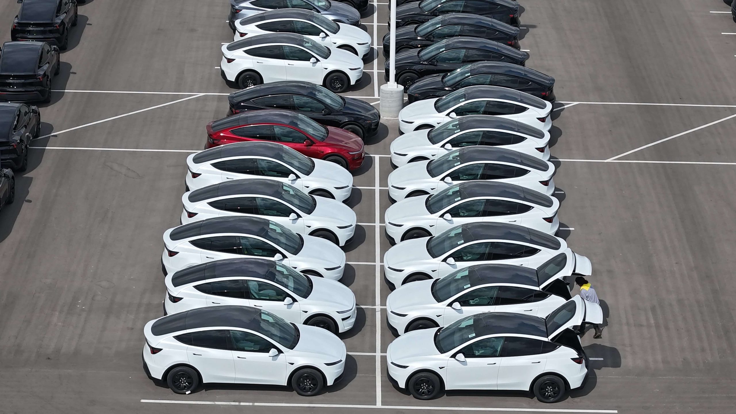 Tesla Model Y Standard