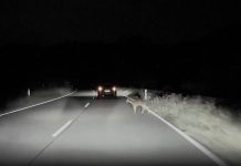 Tesla Autopilot Swerves to Avoid Danger While Matrix Headlights Respond in Time Tesla Autopilot Swerves to Avoid Danger