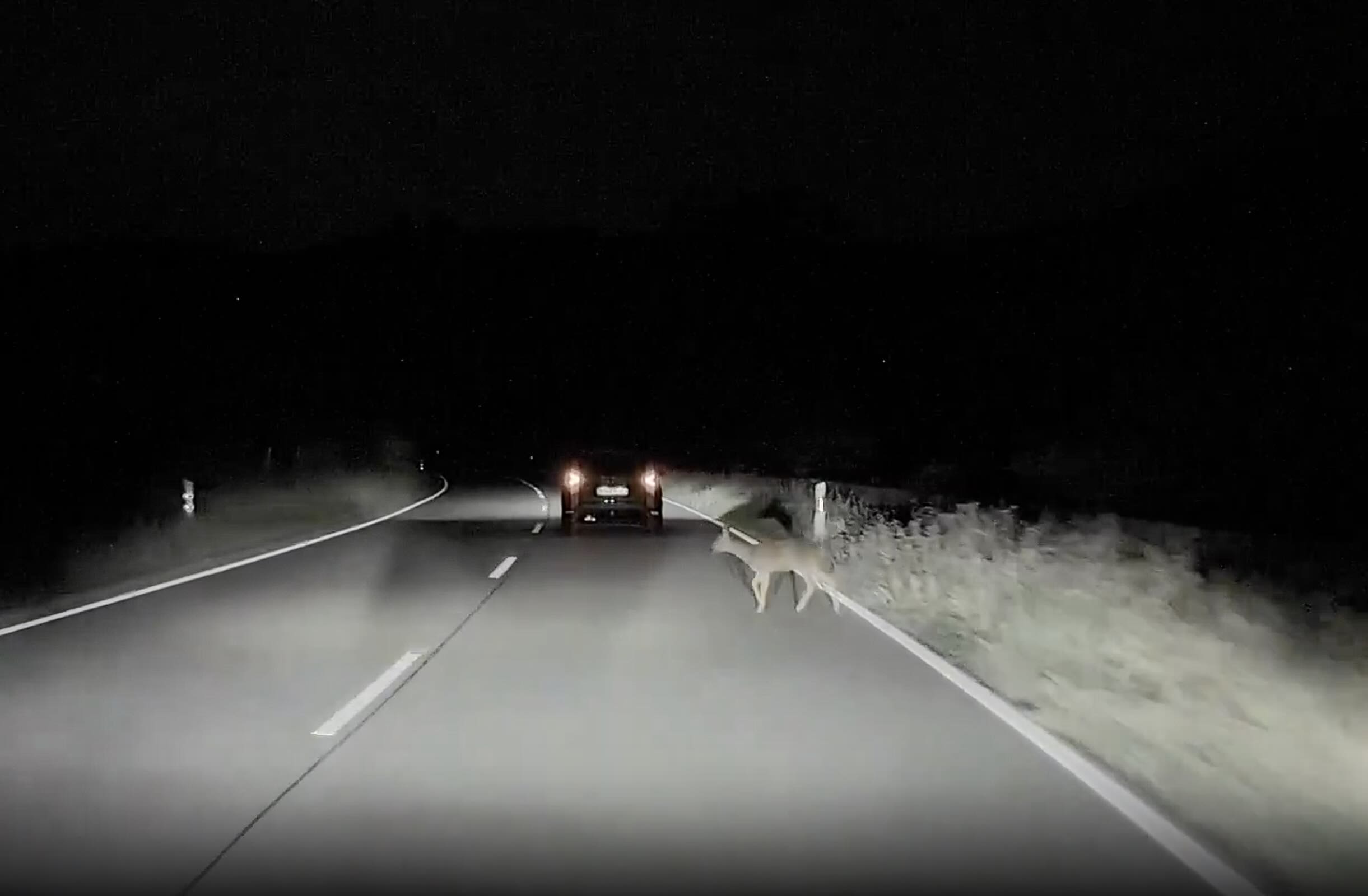 Tesla Autopilot Swerves to Avoid Danger