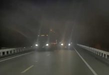 Tesla FSD Supervised Saves Lives by Avoiding Head On Collision in New Mexico Tesla FSD Supervised Saves Lives