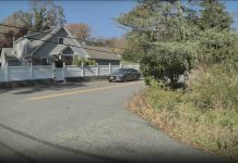 Tesla FSD v14.1.4 Shows Human Like Awareness by Reacting to Vehicle Behind Trees Tesla FSD v14.1.4 Shows Human Like Awareness