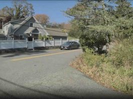 Tesla FSD v14.1.4 Shows Human Like Awareness by Reacting to Vehicle Behind Trees Tesla FSD v14.1.4 Shows Human Like Awareness