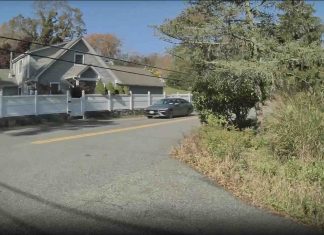 Tesla FSD v14.1.4 Shows Human Like Awareness by Reacting to Vehicle Behind Trees Tesla FSD v14.1.4 Shows Human Like Awareness