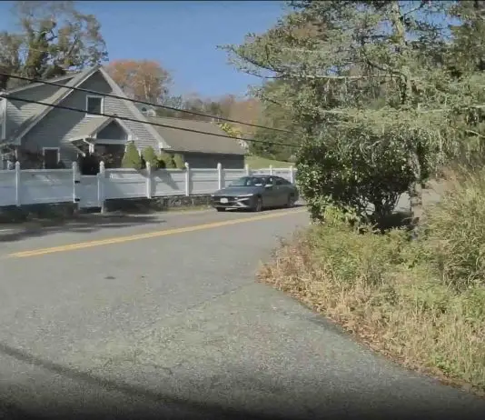 Tesla FSD v14.1.4 Shows Human Like Awareness by Reacting to Vehicle Behind Trees Tesla FSD v14.1.4 Shows Human Like Awareness