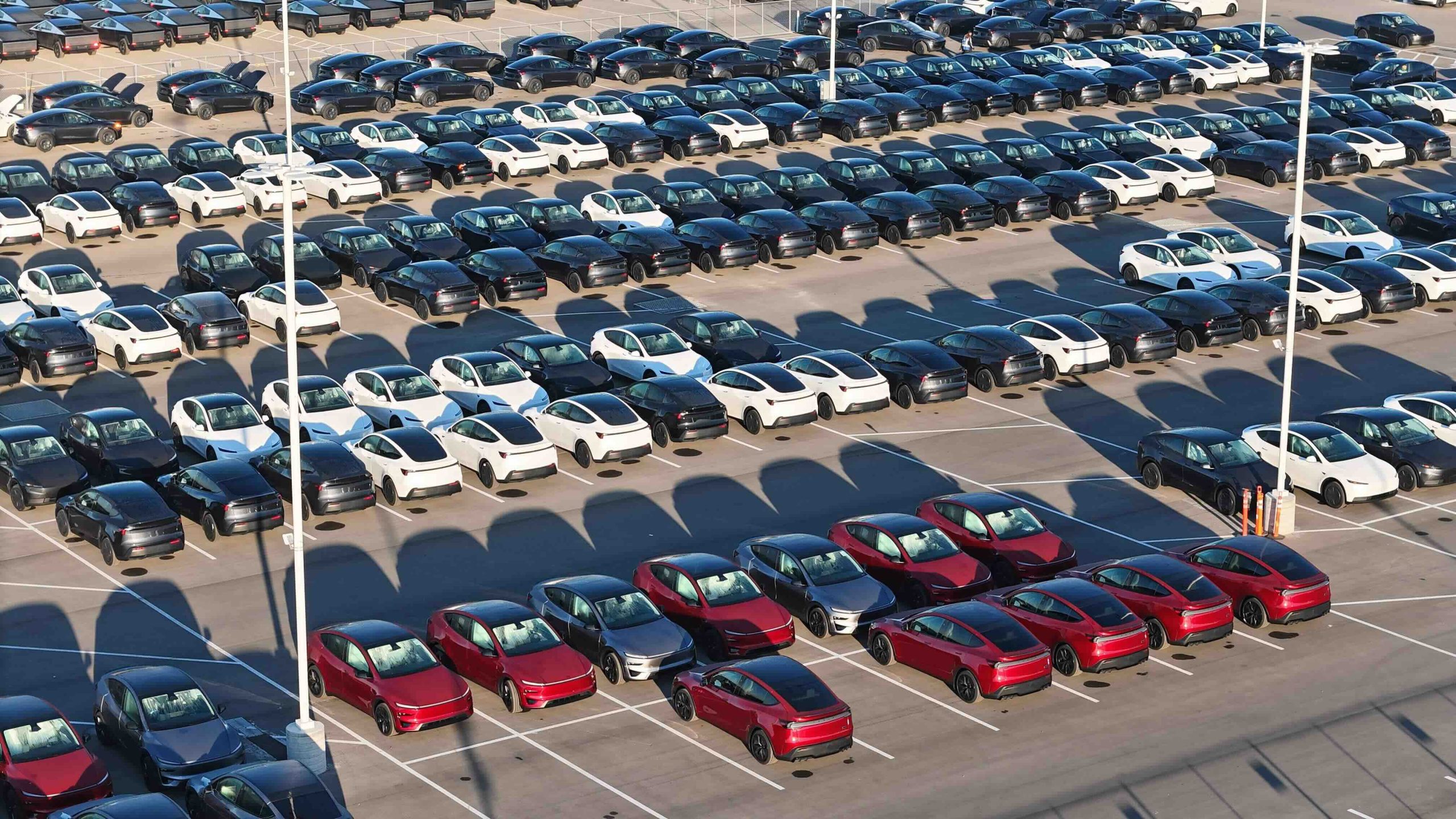 Tesla Ramps Up Production of Model Y Standard and Performance